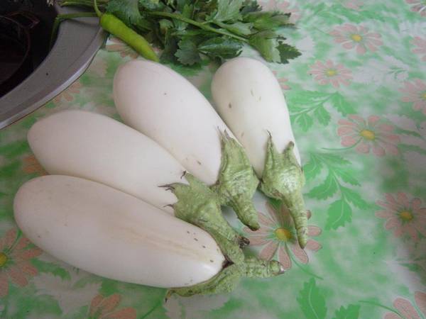 Белый баклажан: описание сортов и выбор семян с фото