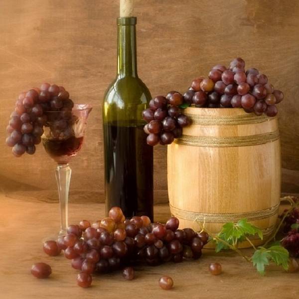 Домашнее вино из винограда — секреты виноделия и интересные рецепты - фото