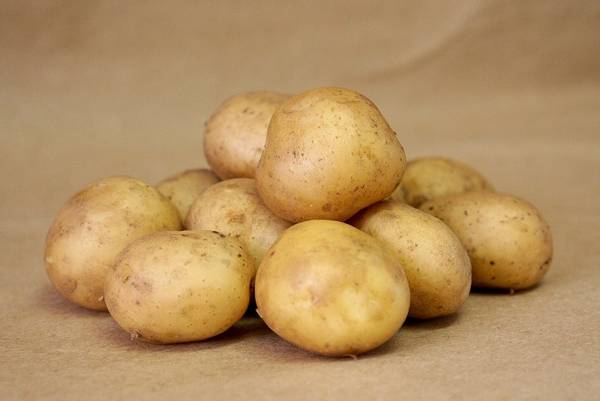 Раннеспелый желтый картофель Гала - фото