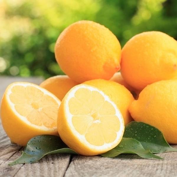 Лимон  чем полезен и чем вреден этот витаминный цитрус? - фото