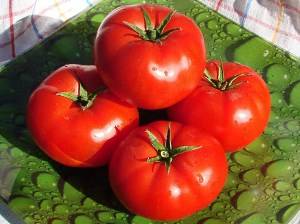 Лучшие сорта низкорослых помидор с фото и описанием - фото
