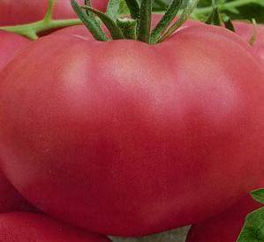 Необычные и вкусные помидоры: сорта и их описания - фото
