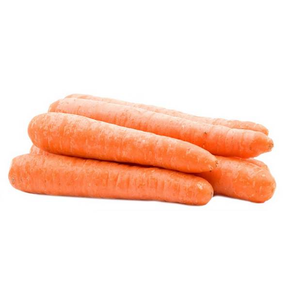 Вредители, грызущие морковь, и распространенные болезни морковки  как с ними справиться с фото